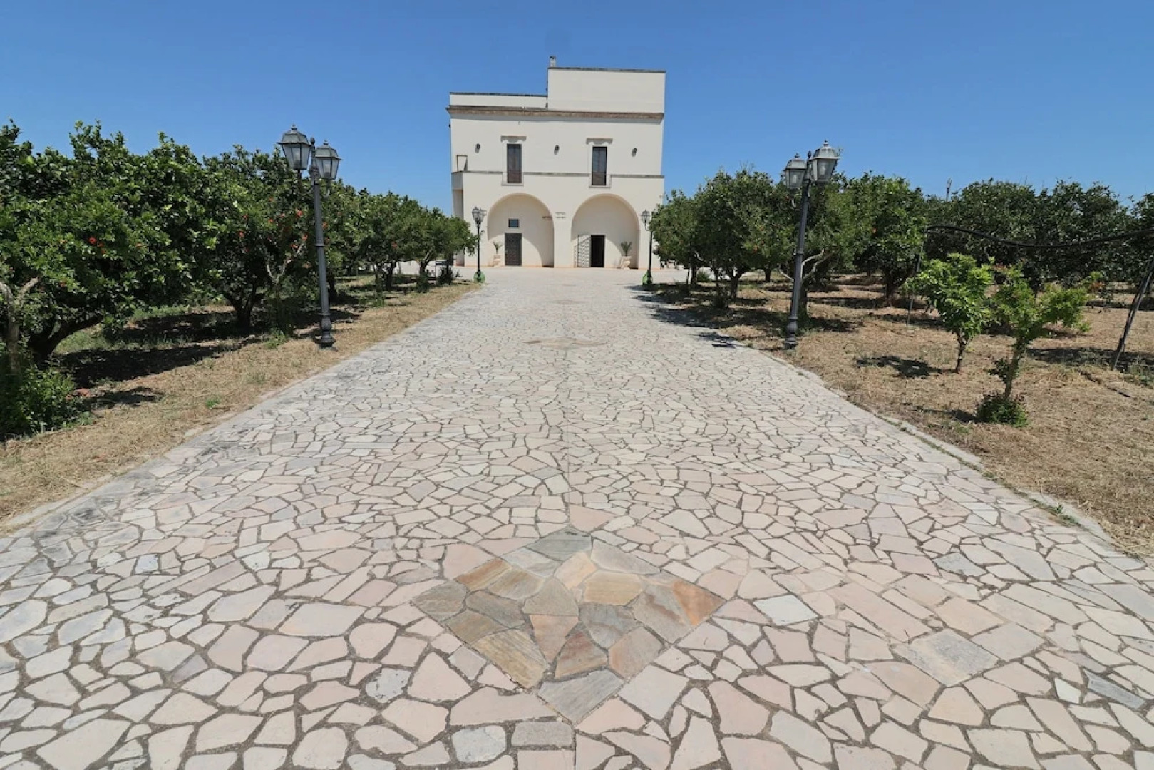 Triple Comfort Pink Grapefruit