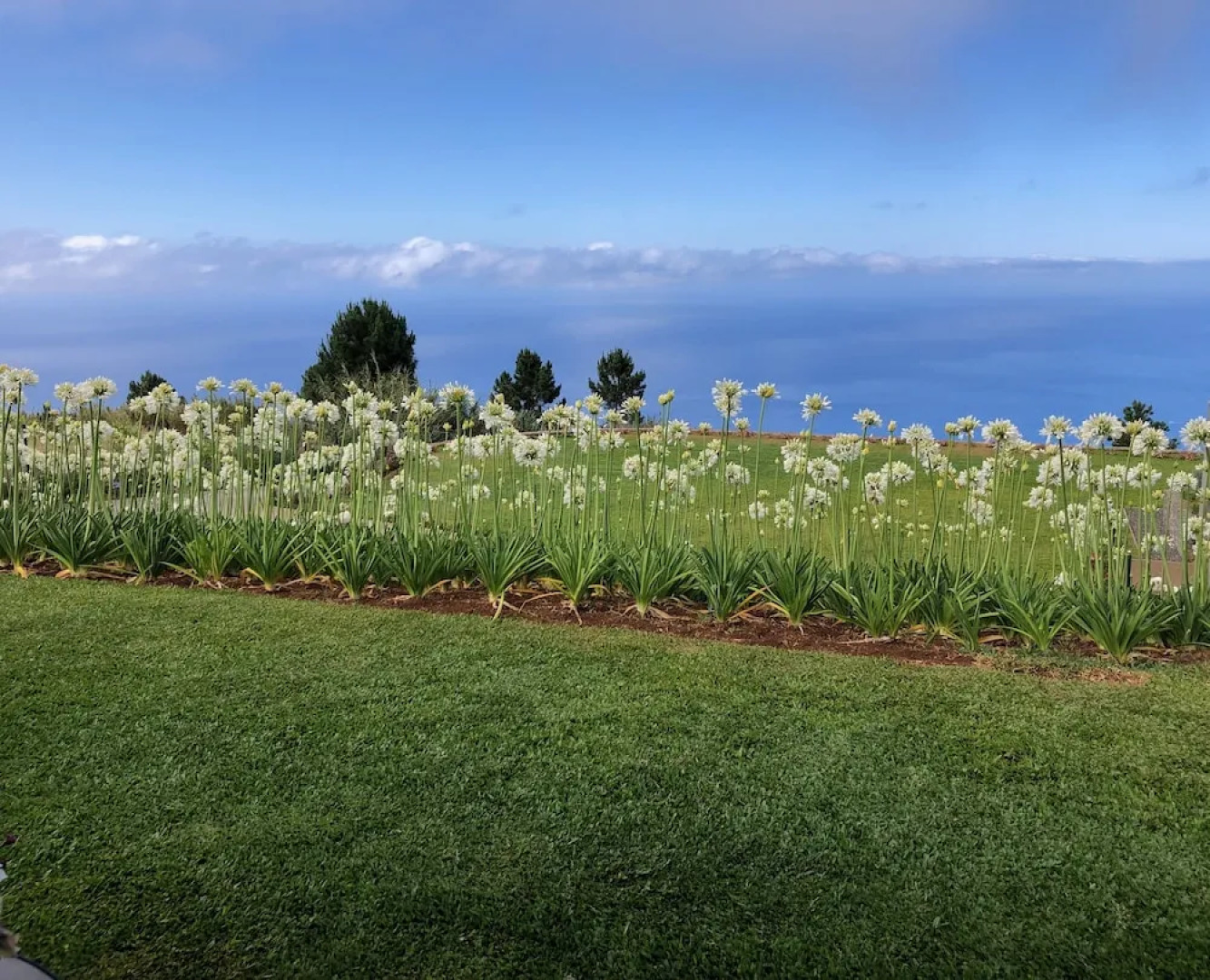 Quinta Inácia by Our Madeira