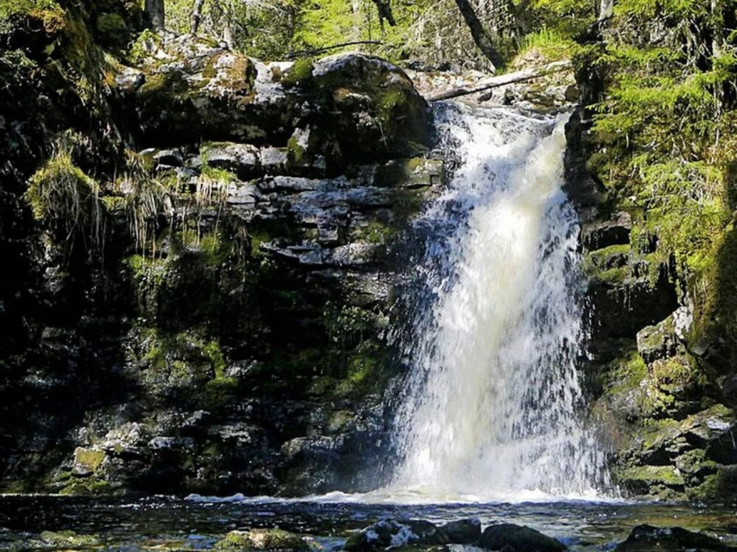 4 Person Holiday Home in Klövsjö