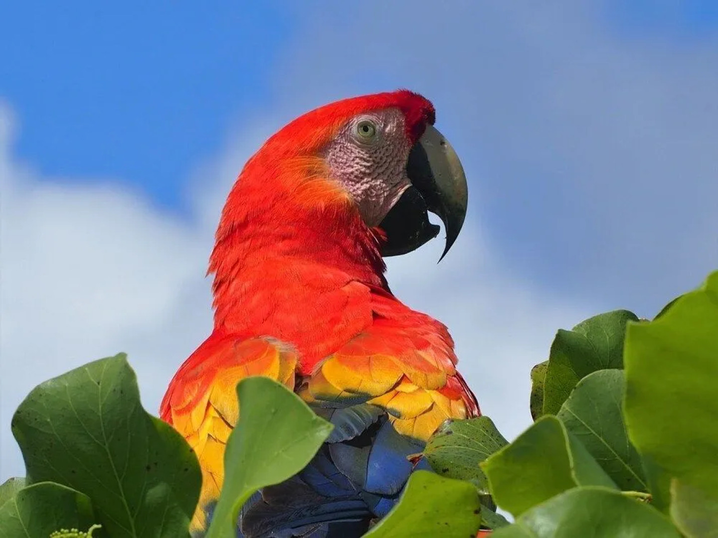 The Sunset Tucano Lodge