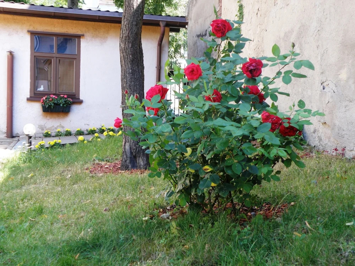 Litinterp Guesthouse Klaipeda