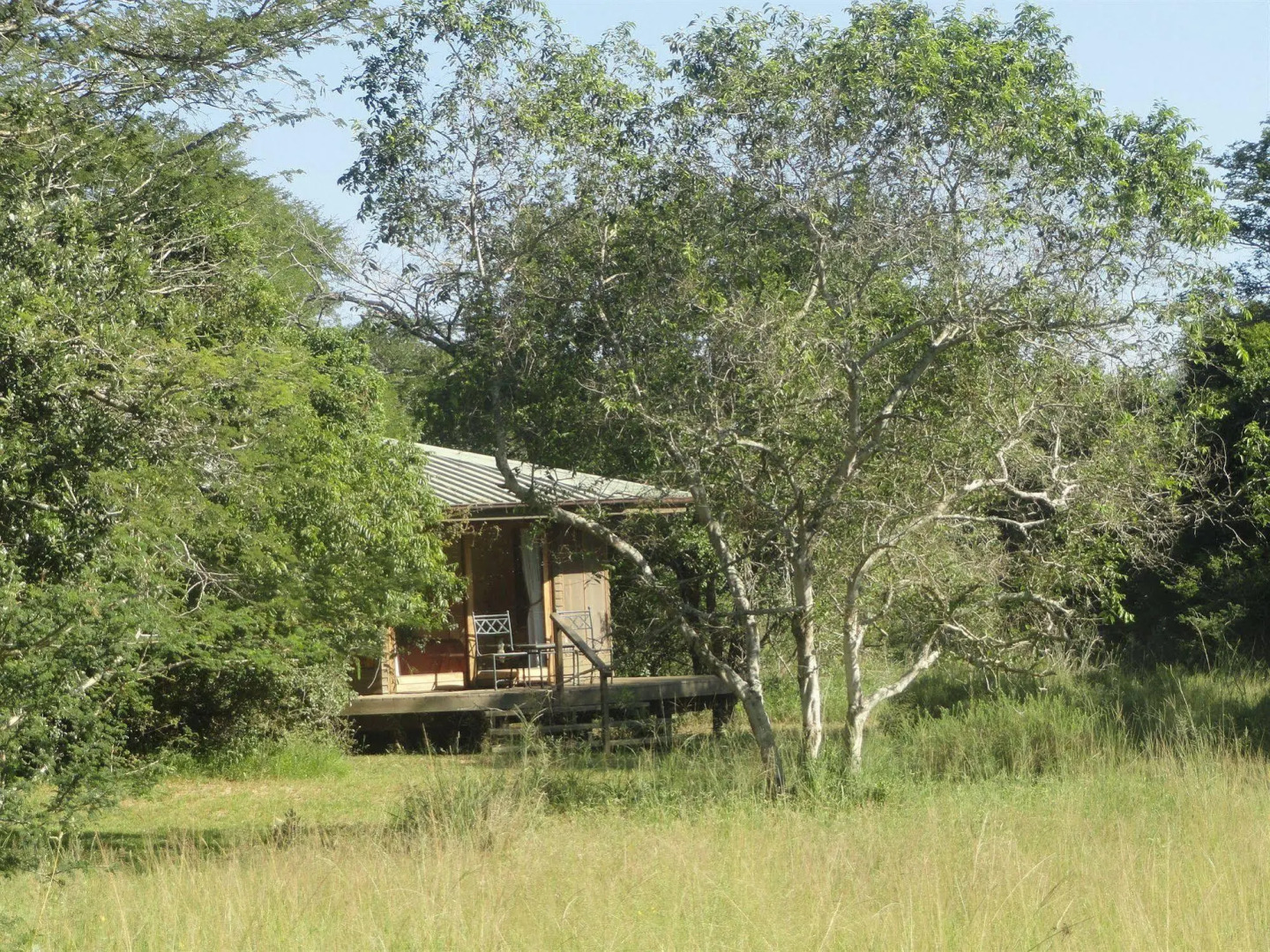 Bushwillow Collection