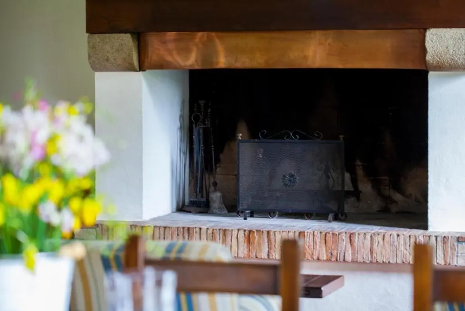 Bio Tenuta di Paganico - I Roggeti