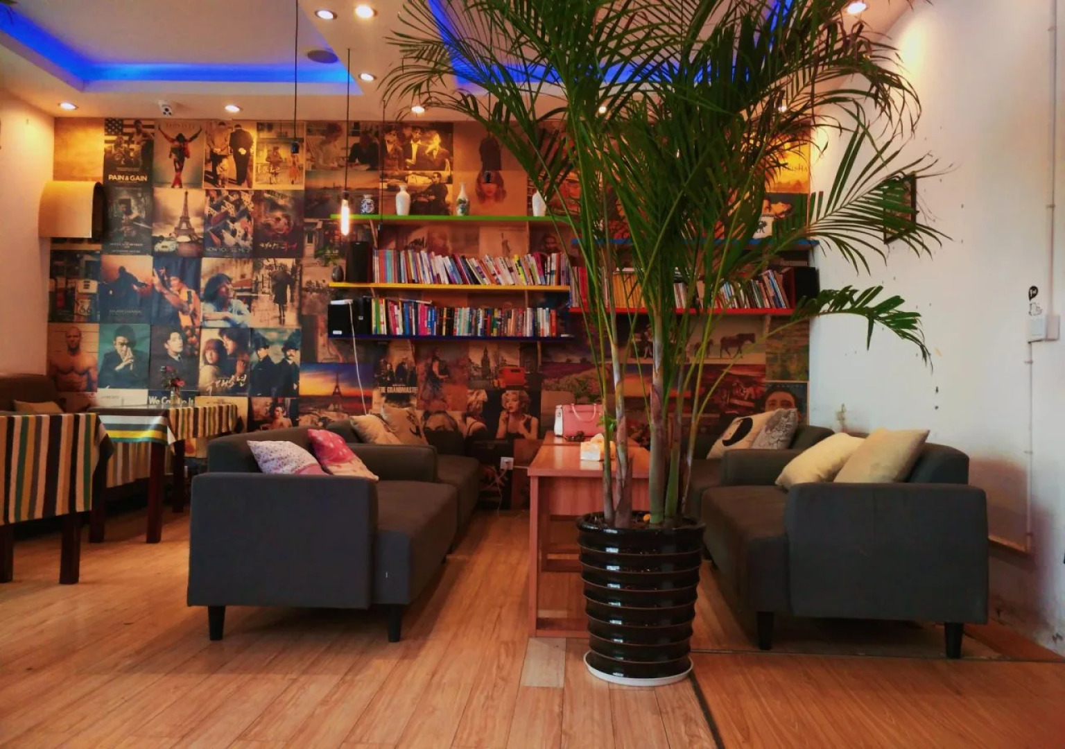 Cather Of The Light Youth Hostel