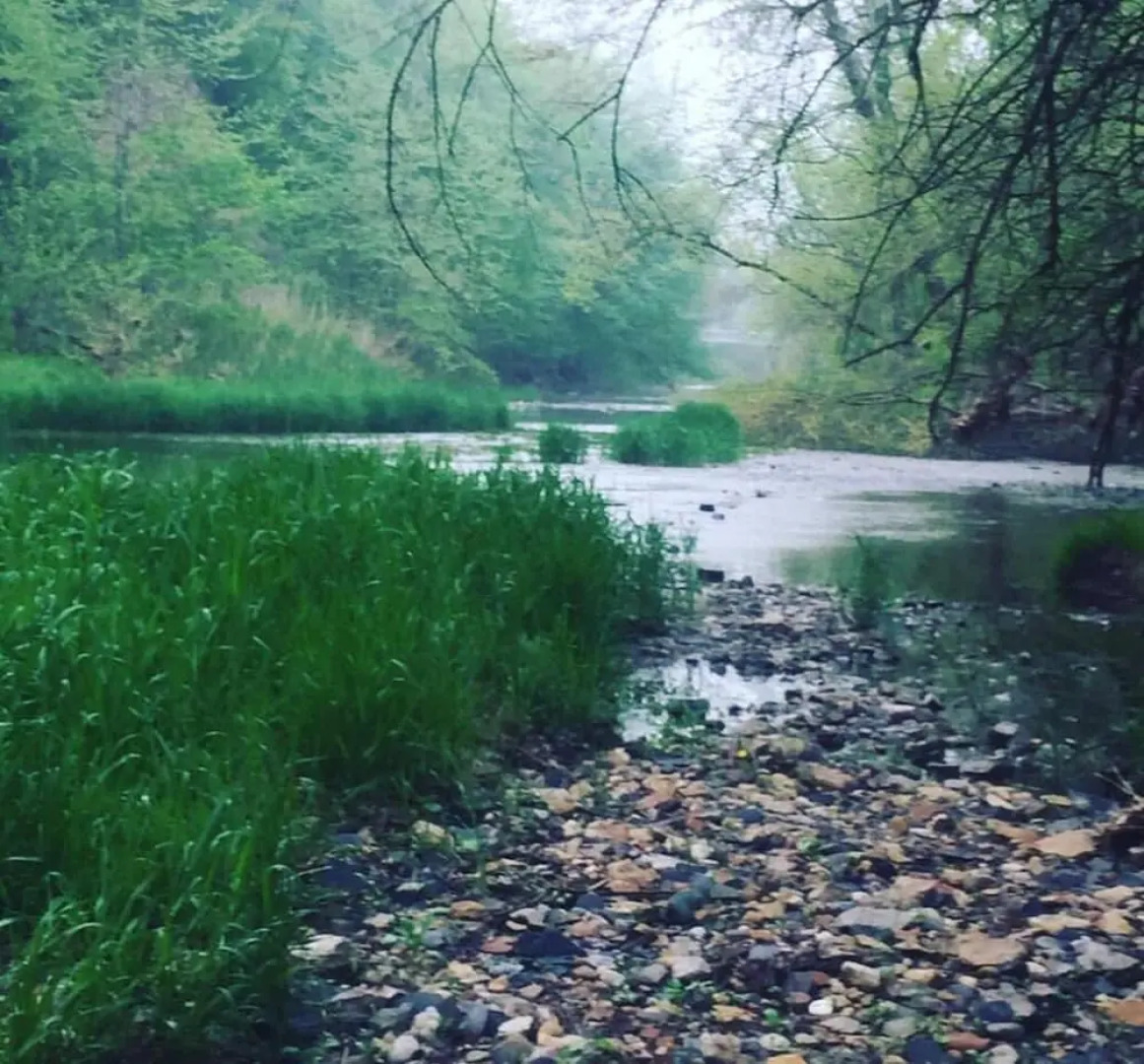 House With 2 Bedrooms in Bustablado, With Wonderful Mountain View and