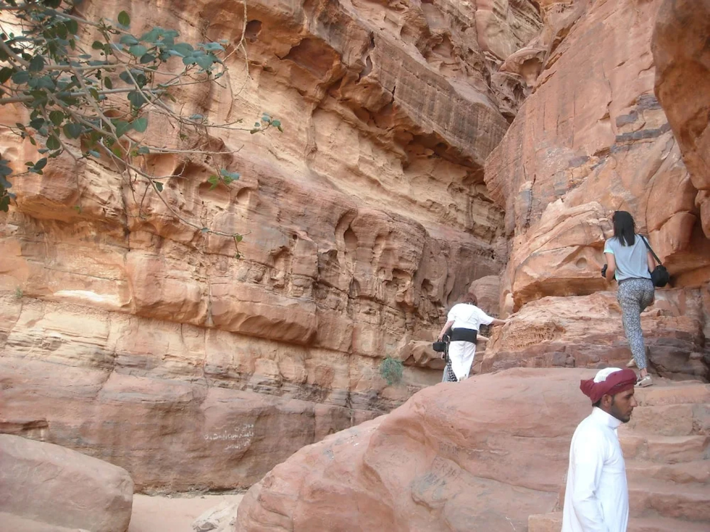 Bedouin expedition Camp