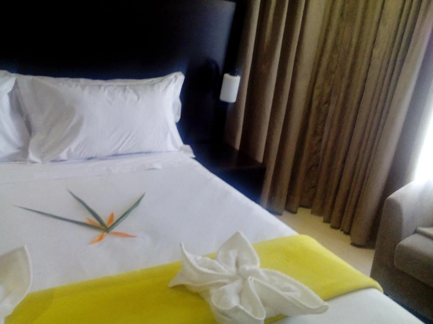 Peaconwood Boutique Bed and Breakfast