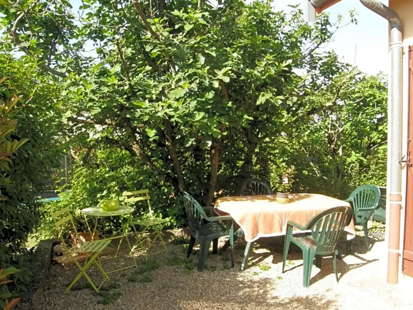 À l'ombre des 2 Figuiers