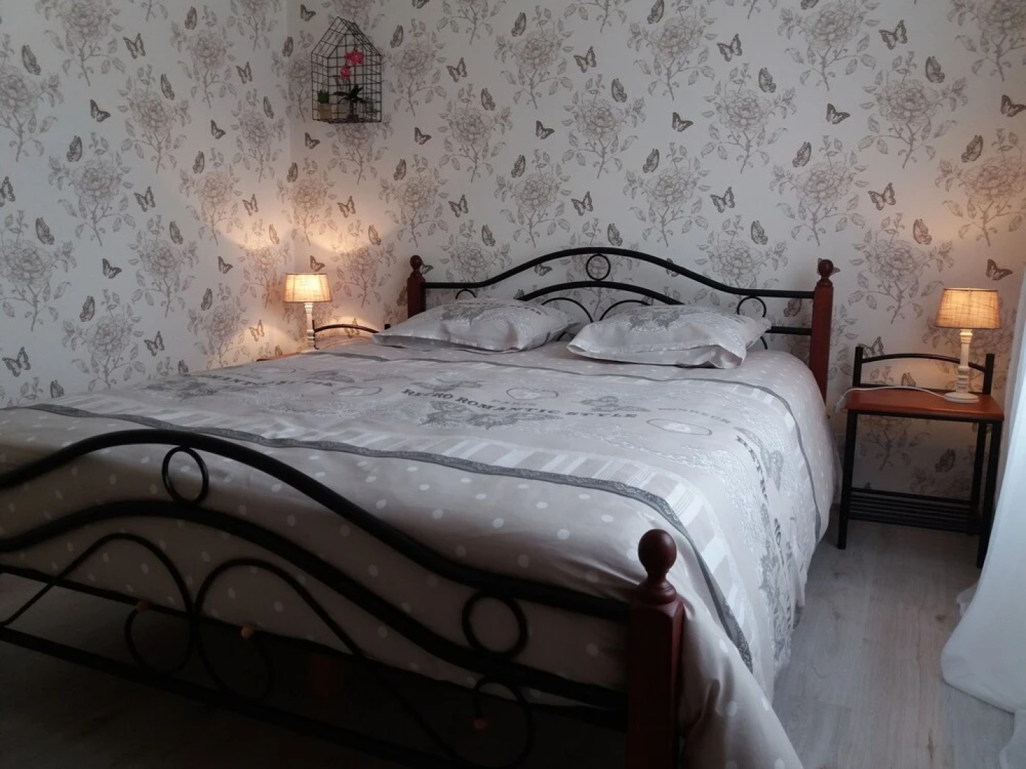 Les Oiseaux de Passage