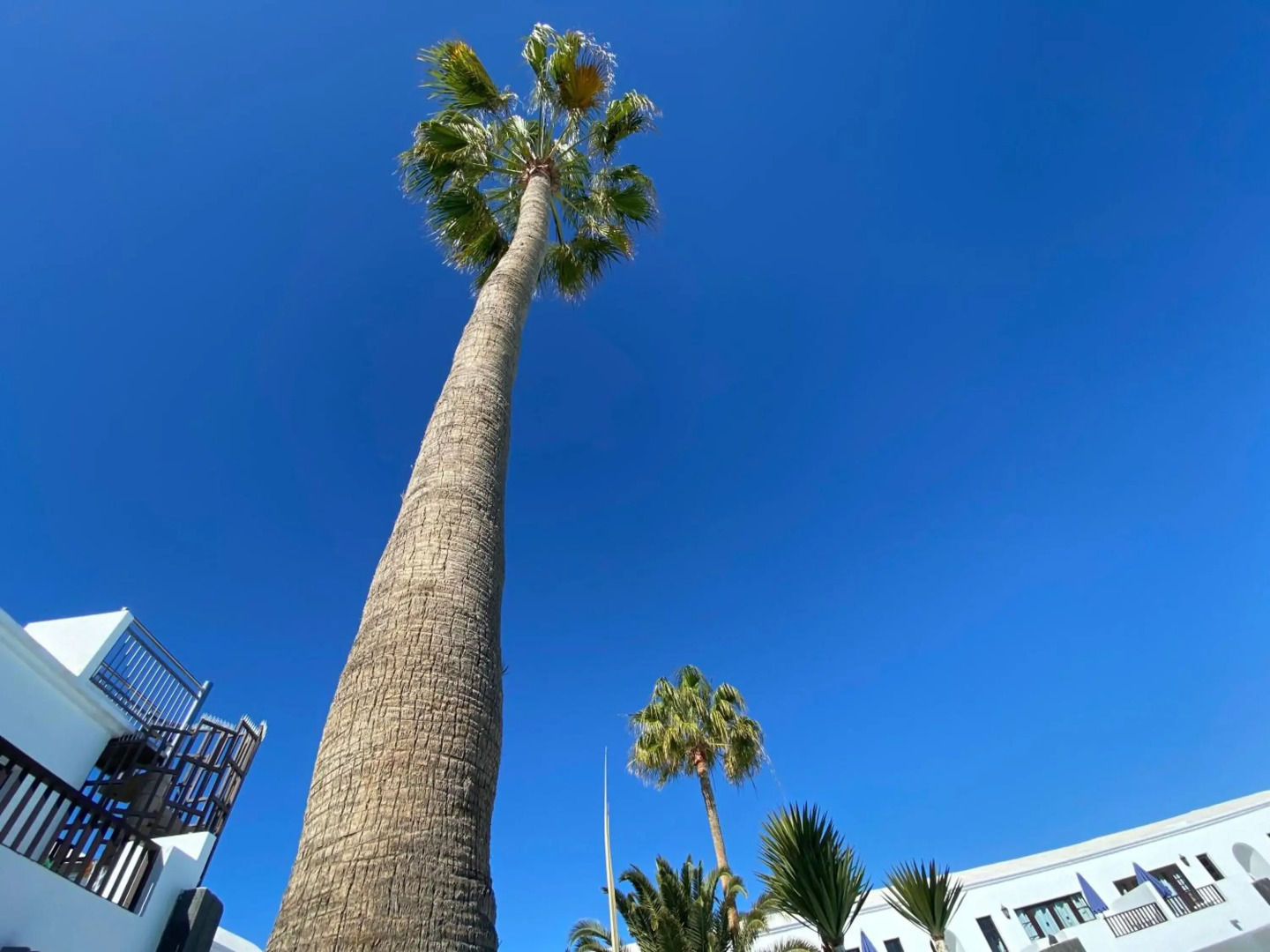 Apartamentos Plaza Azul