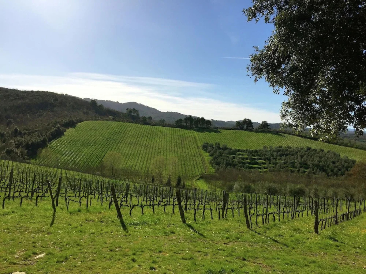 Cozy Farmhouse with Swimming Pool in Bucine