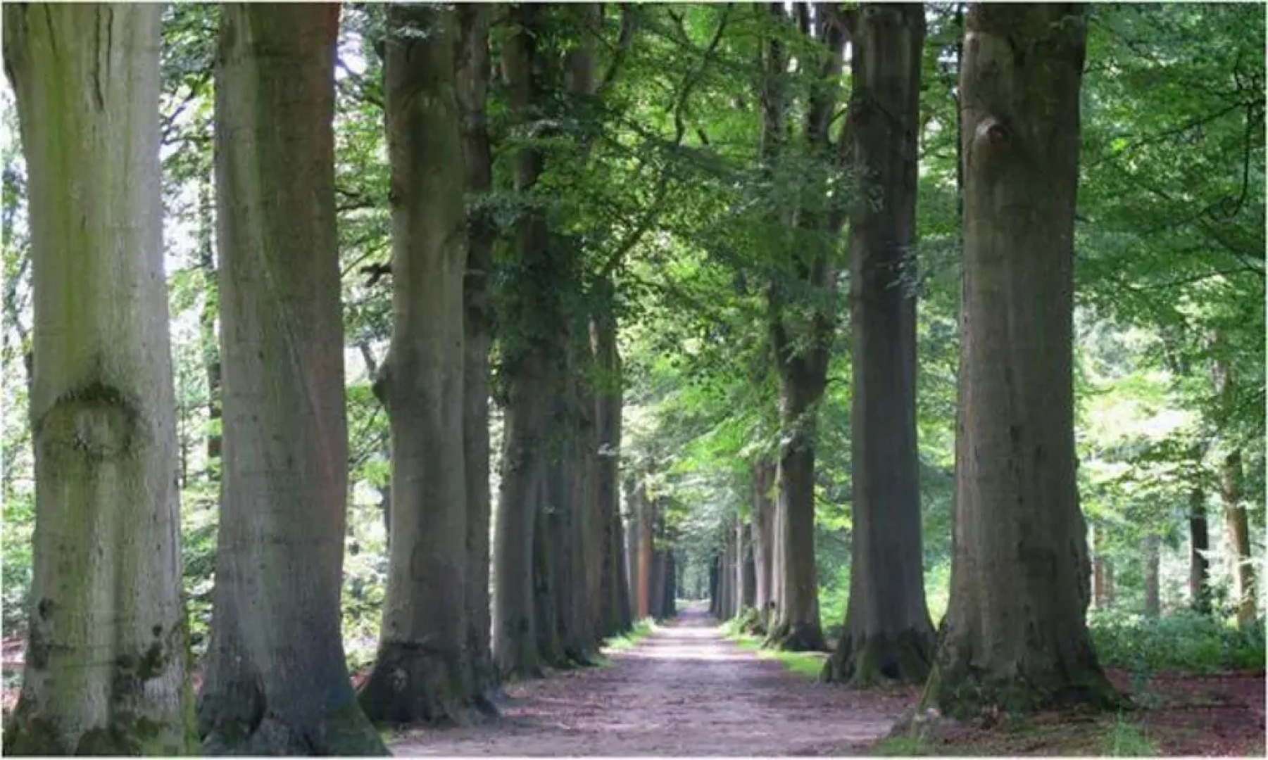 Gastenverblijf Klein Eden