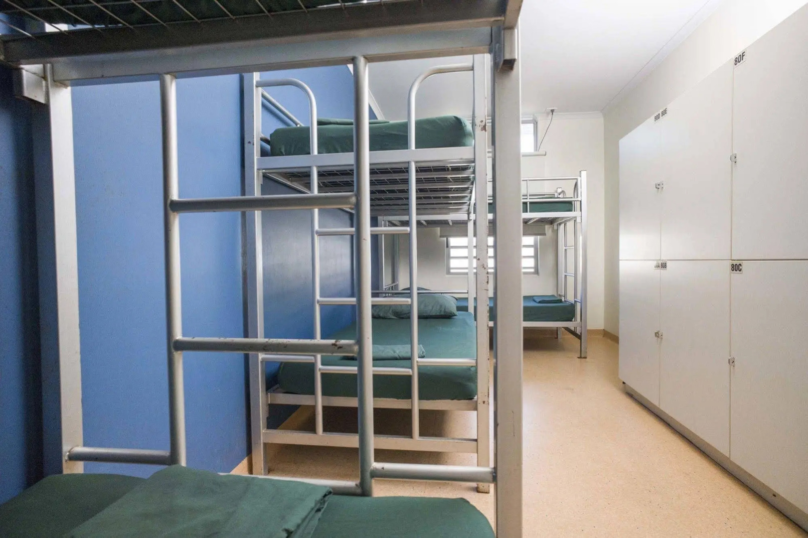 Melaleuca On Mitchell