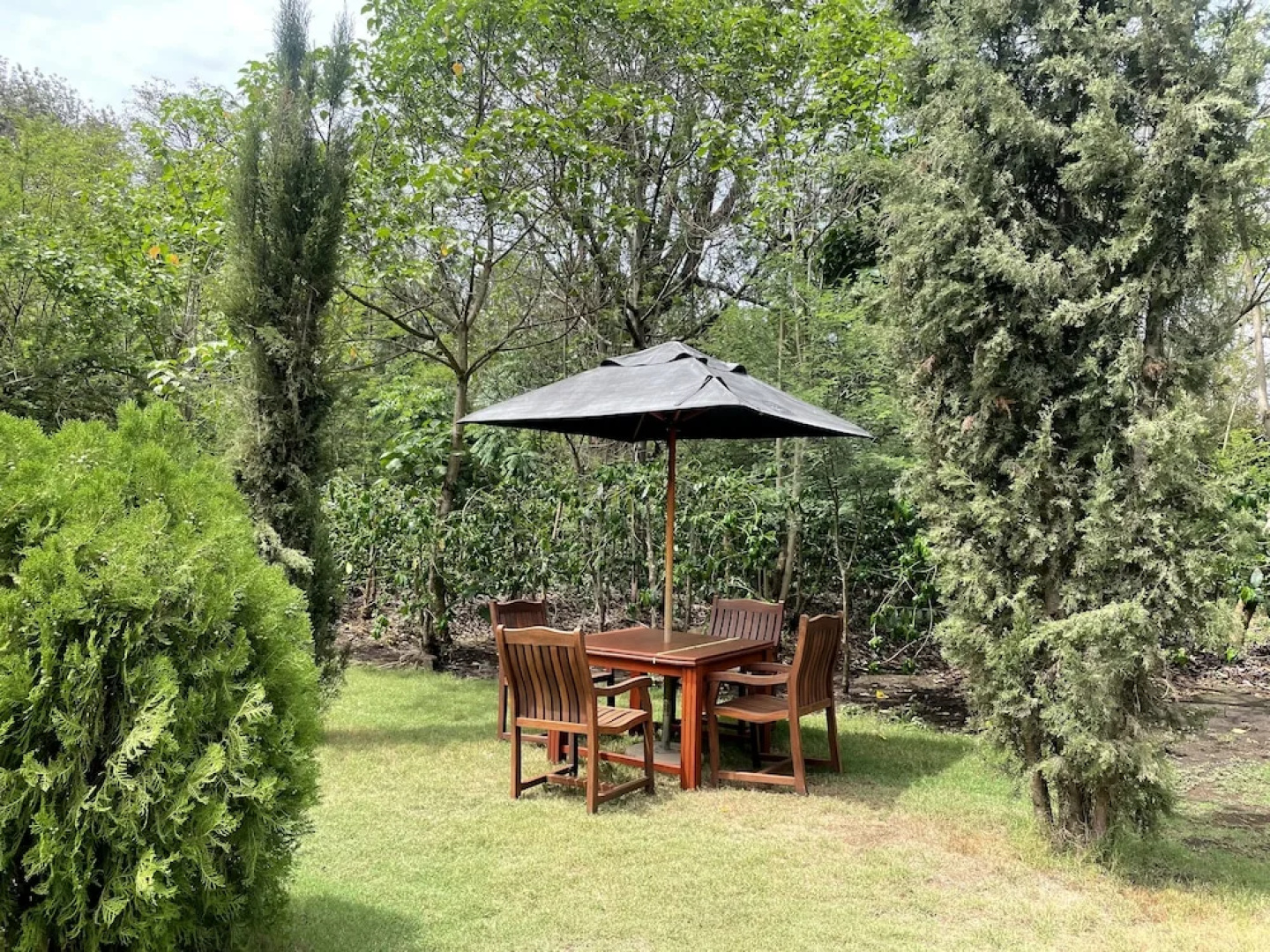 Amani Safari Lodge