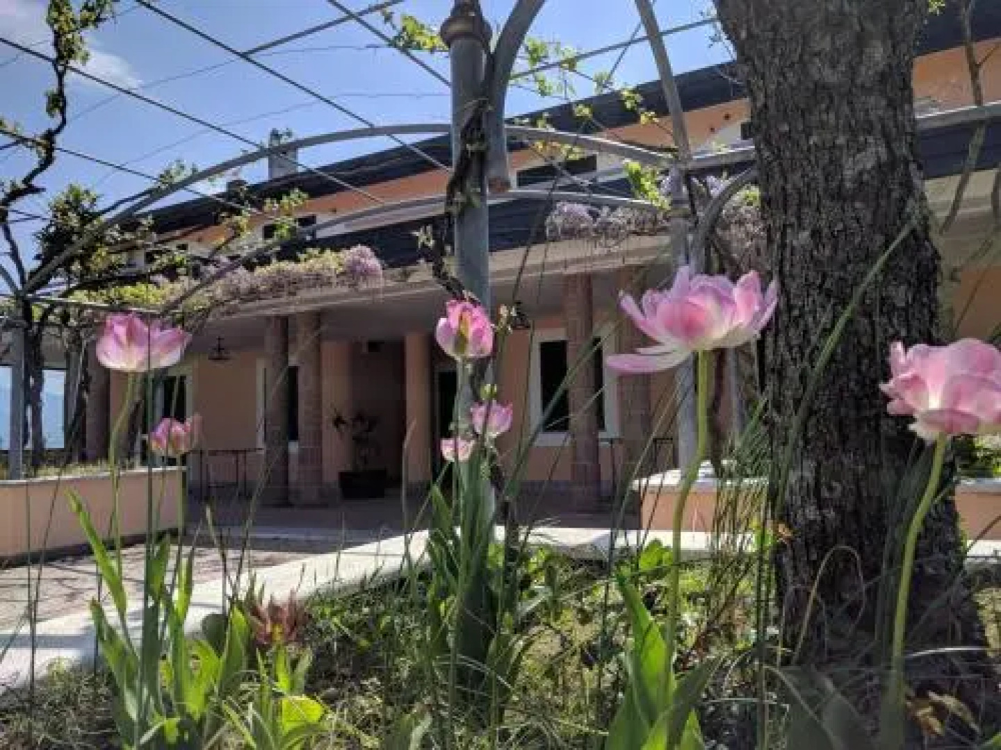 Lisandro Wine Resort Apartments Caserta