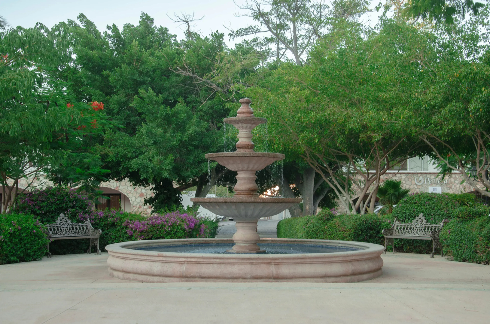 Pedregal Suites Downtown and Marina