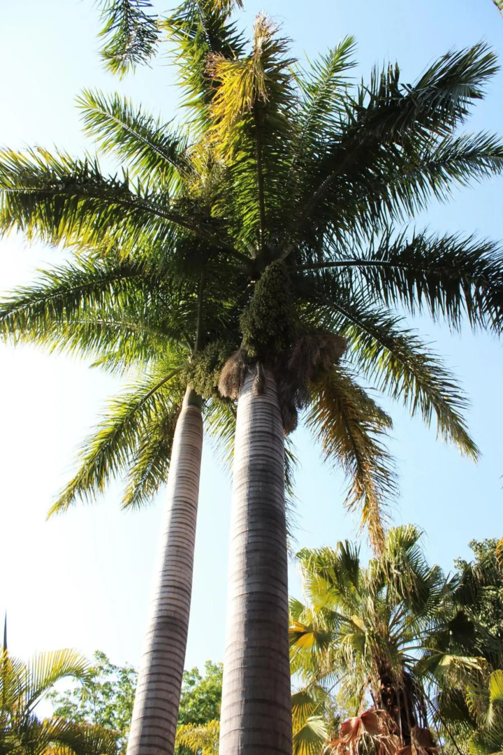 Ngwenya Boutique Hotel