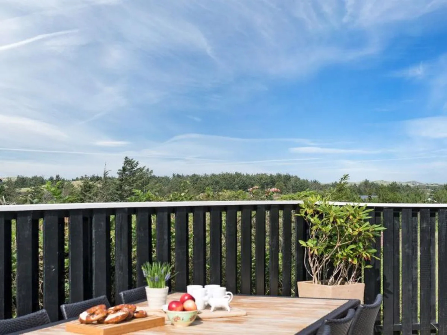 "Theodora" - 700m from the sea in NW Jutland