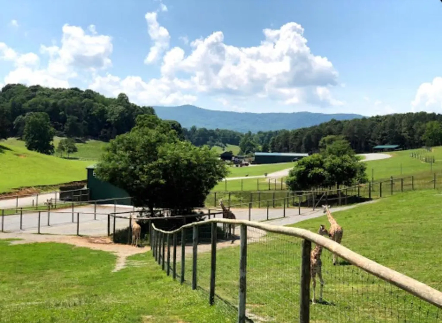 Relax Inn By OYO Natural Bridge I-81