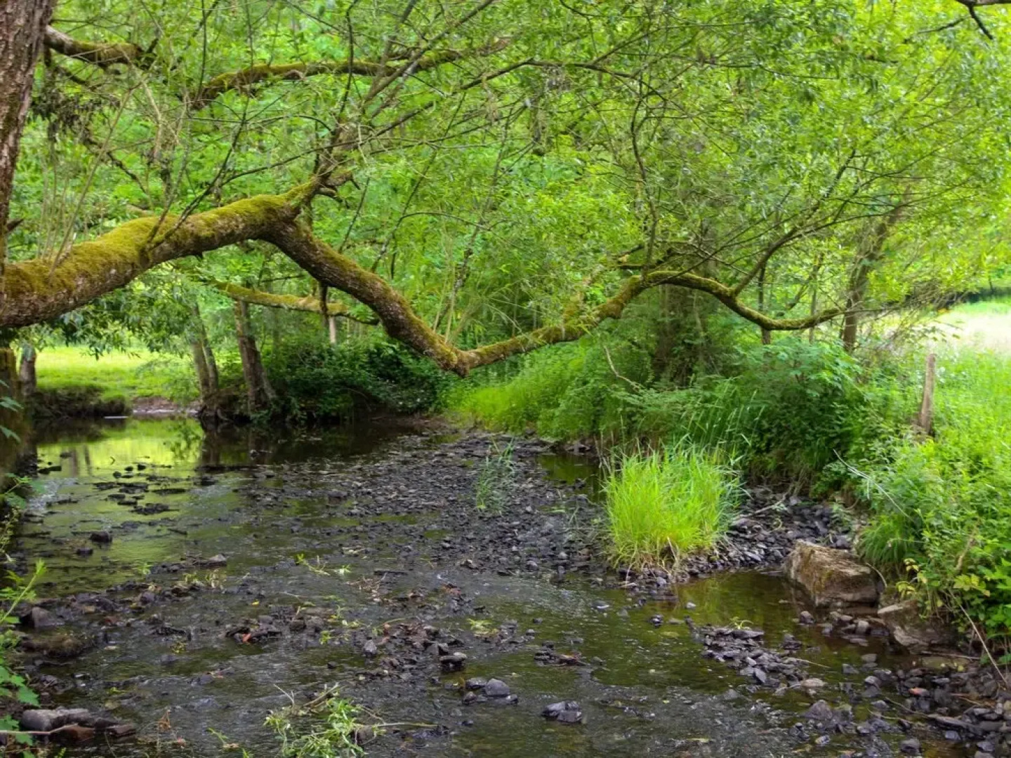 La Rochette Marche-en-famenne