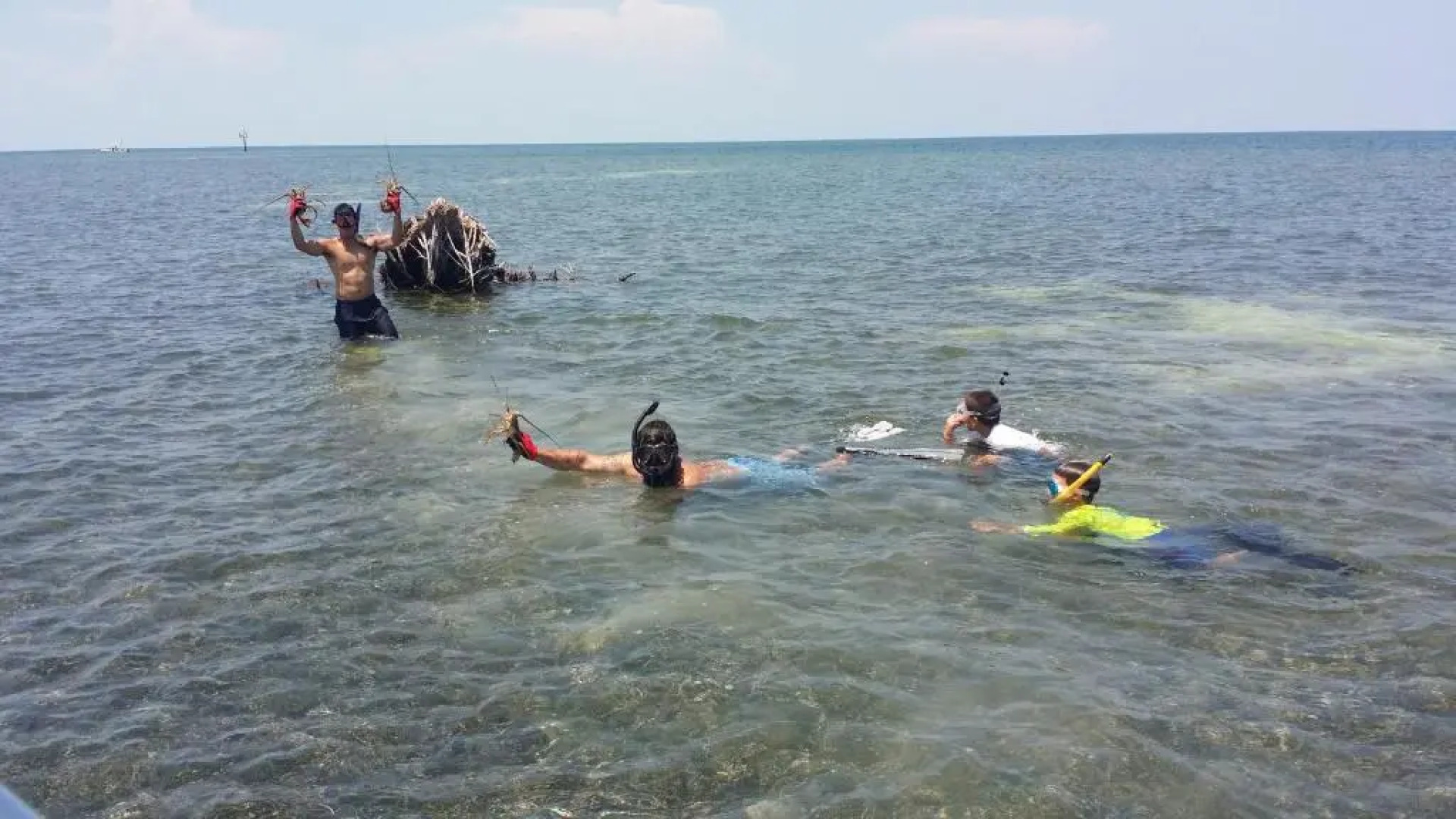 Tiny House RV, Kayak