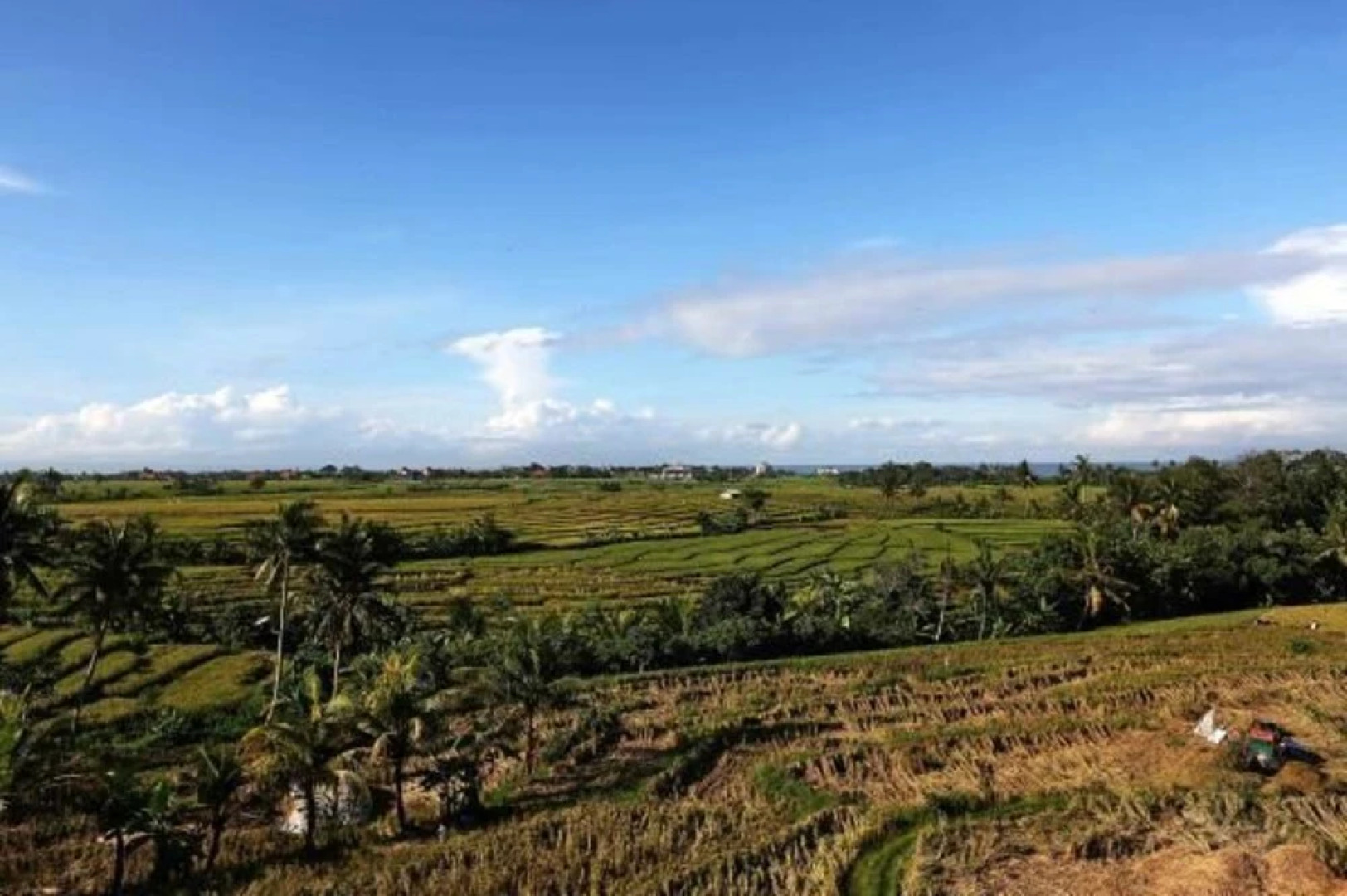 William's Place Bali