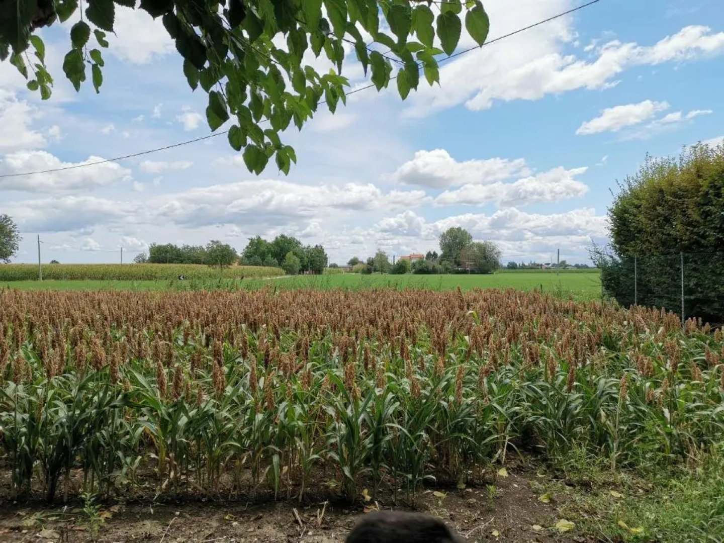 Casa Flosa Room & Breakfast