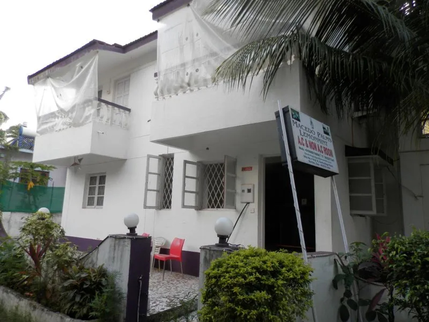 Sugarplum Macedo Palms