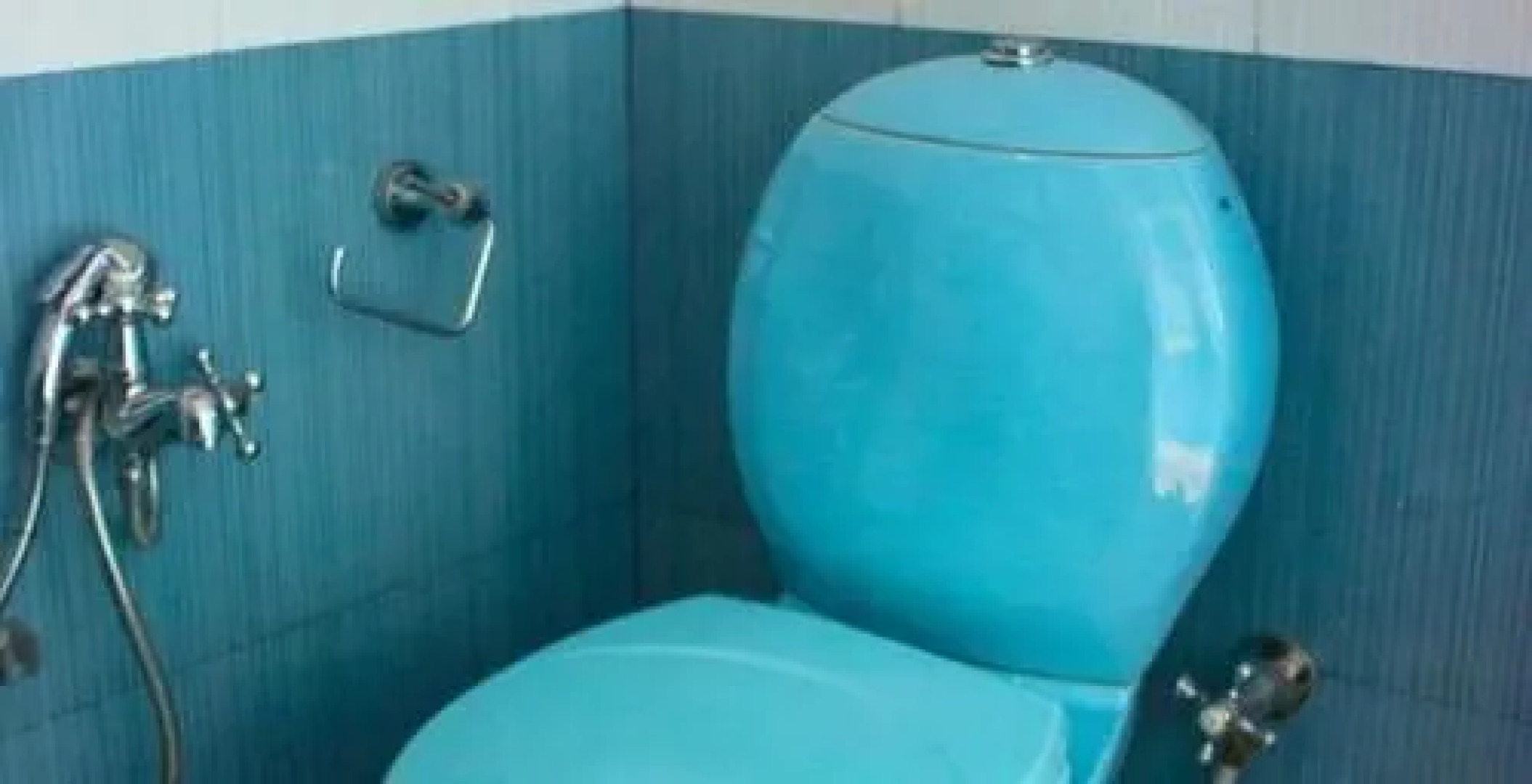 Palacete Rodrigues Heritage Holiday Mansion