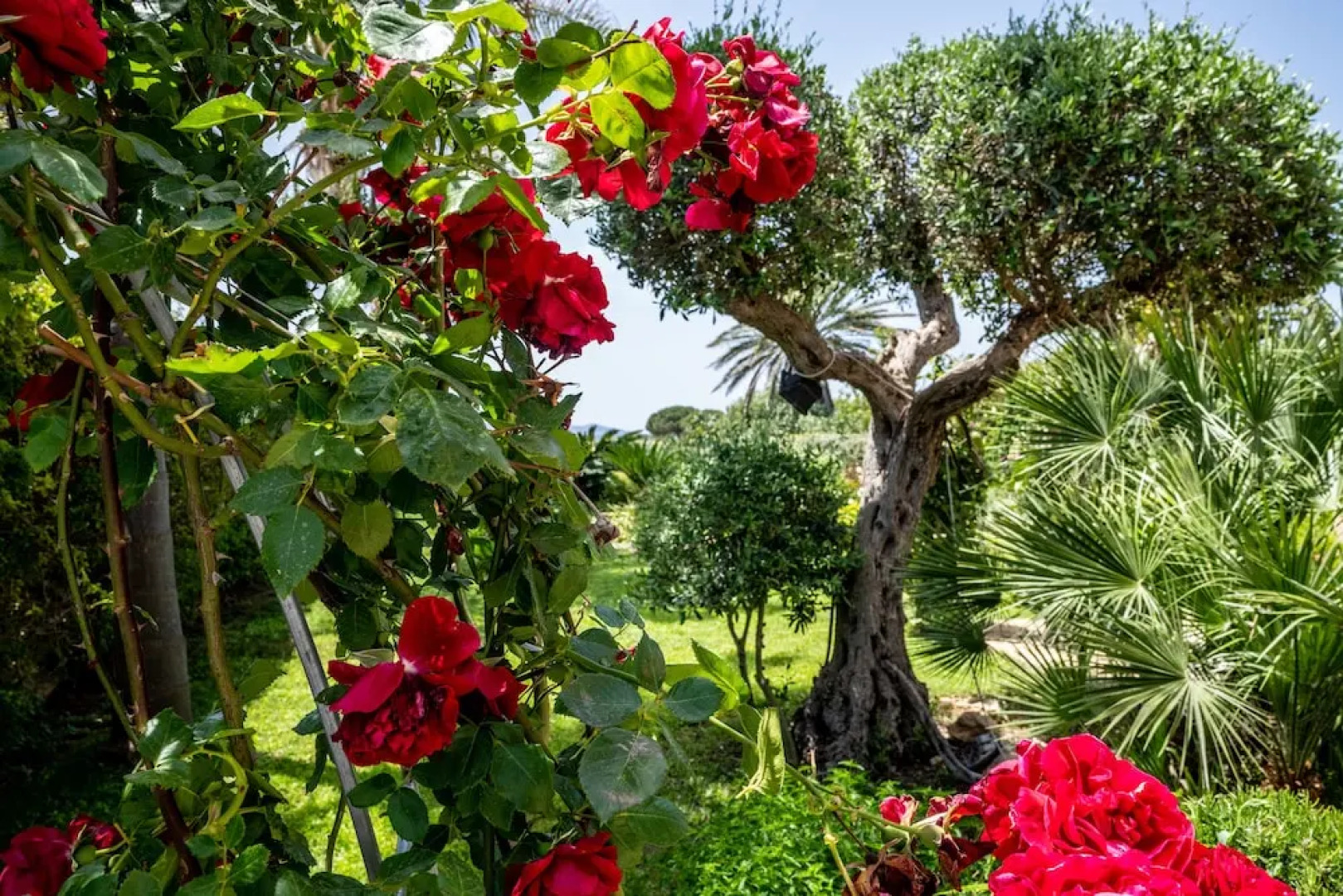 Vista Egadi B&B