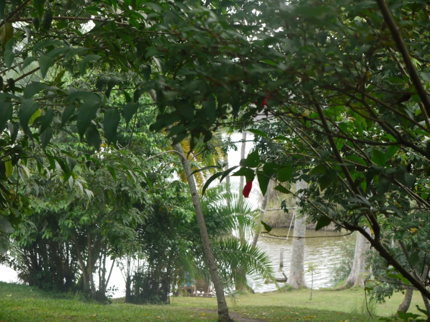 Rweteera Safari Park