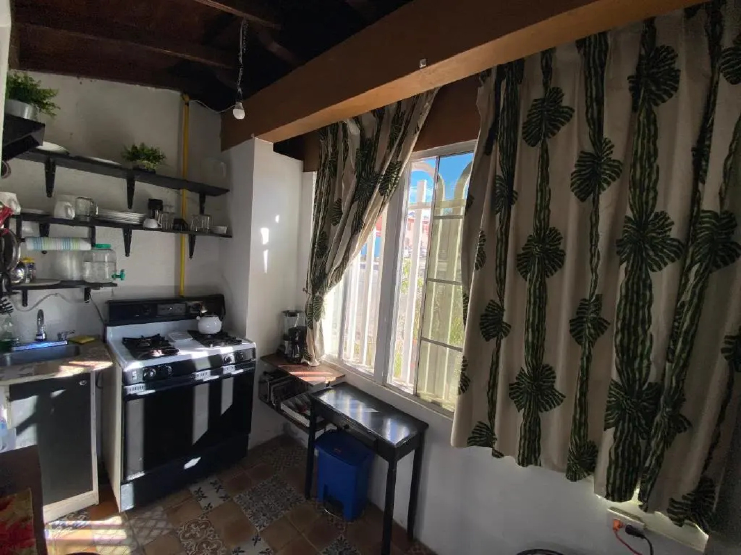Jaguar Studio
