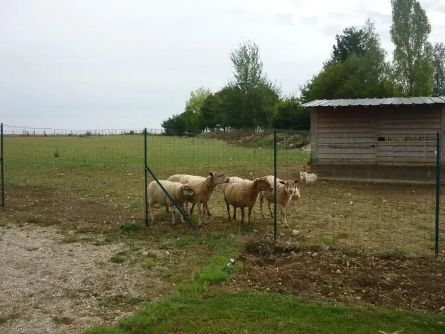 Gîte Averdon, 4 pièces, 8 personnes - FR-1-491-54