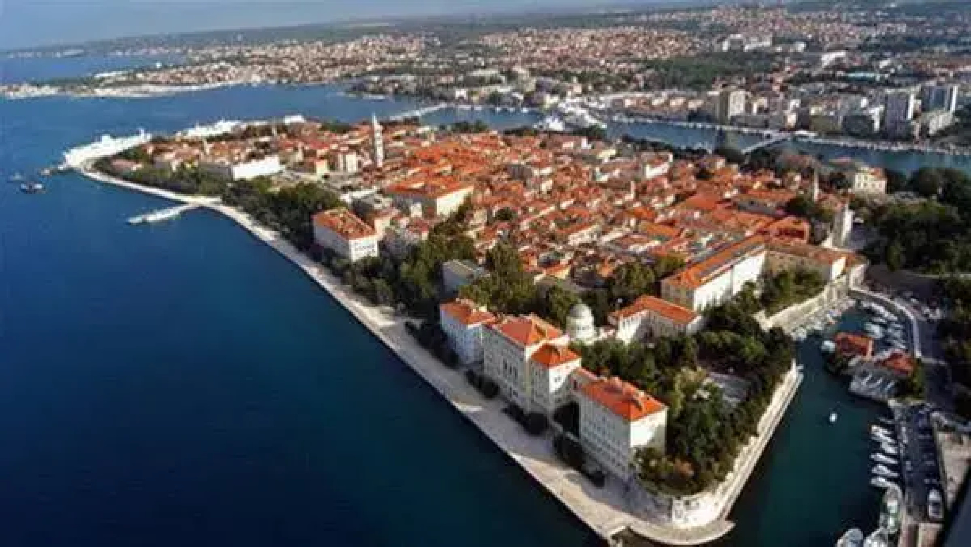 Apartment Bronic