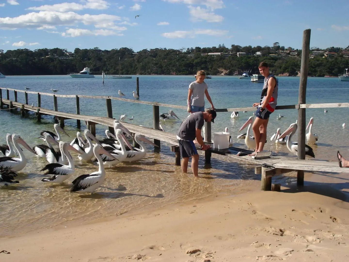 Bayview Apartments Merimbula