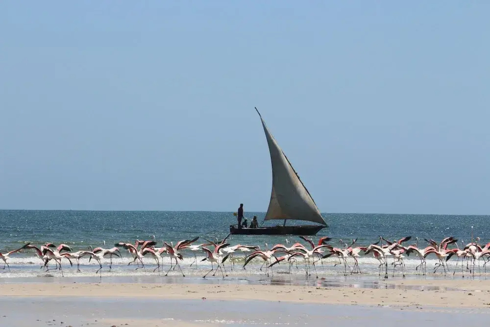Bomani Beach Bungalows