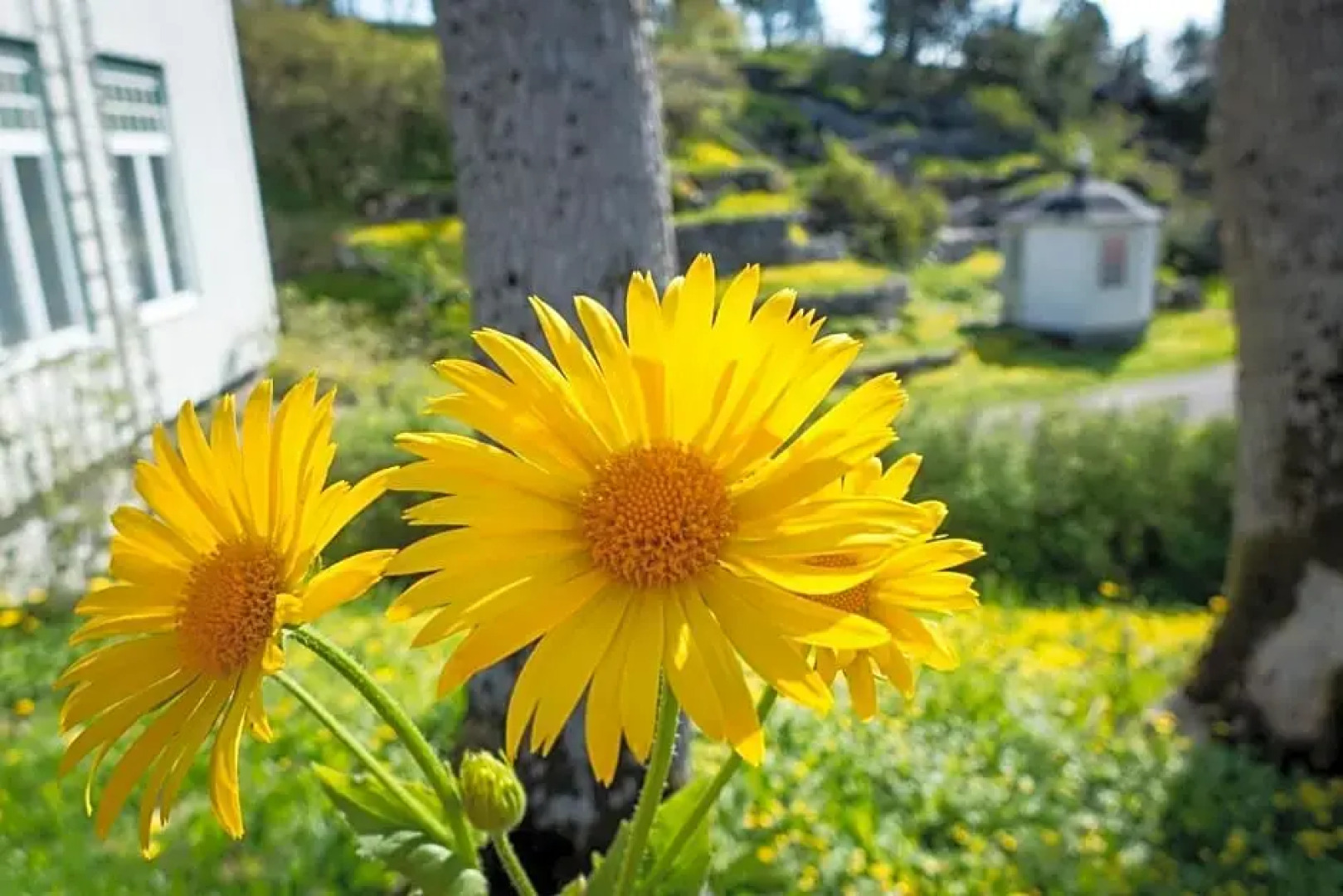 Lofoten Vandrerhjem Kabelvåg
