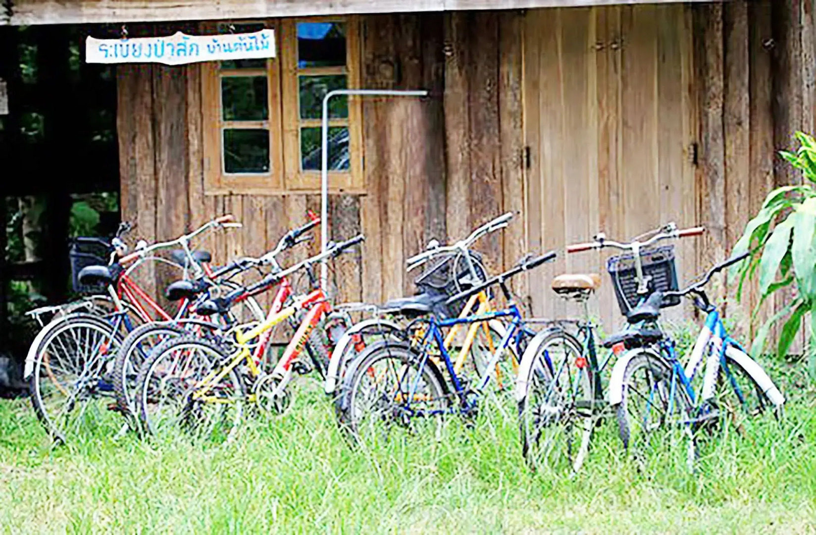 Rabeang Pasak Treehouse Resort