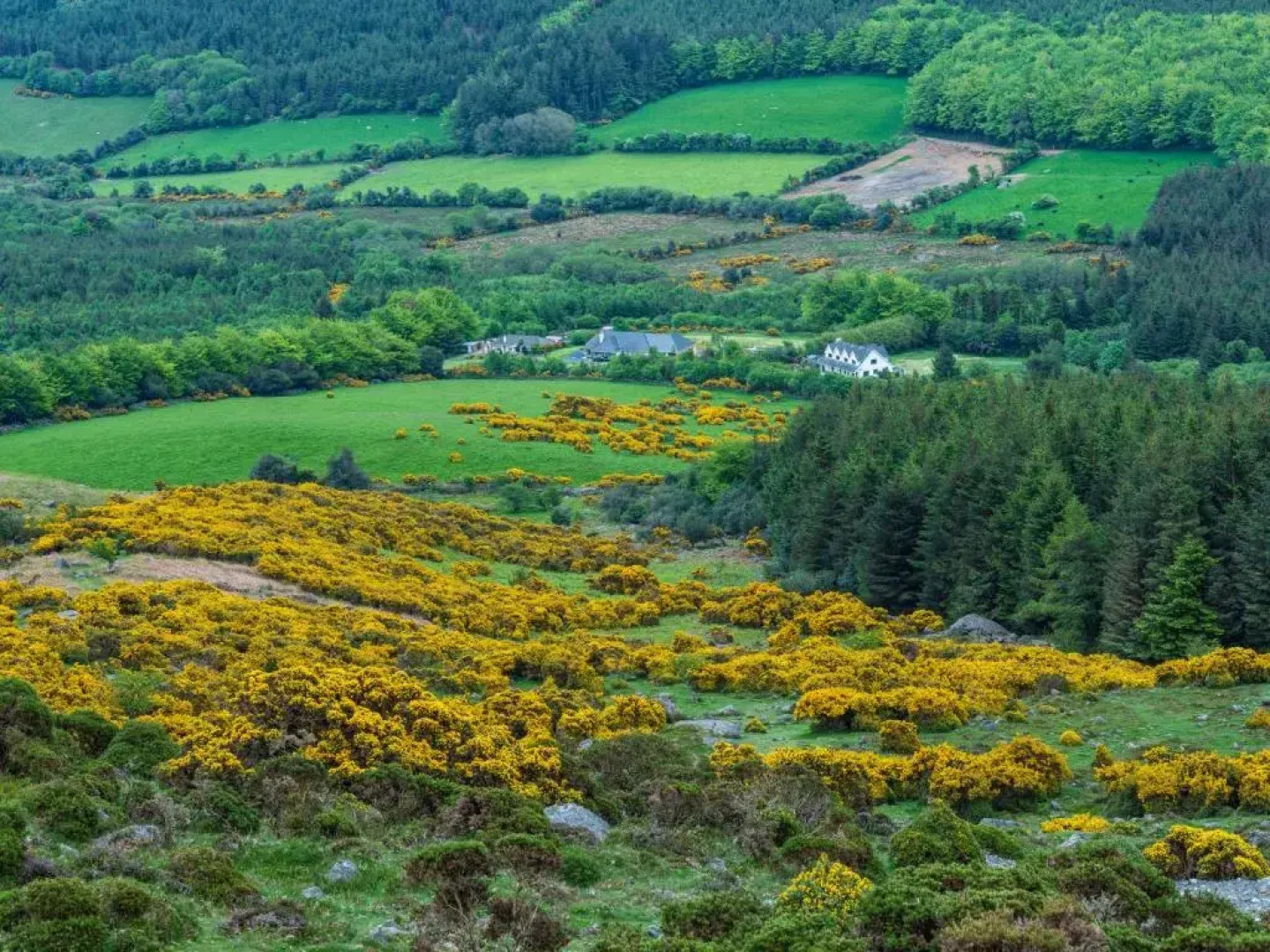 The Knock Guest house