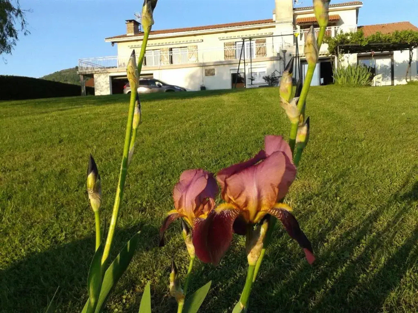 La Panoramique des Puys