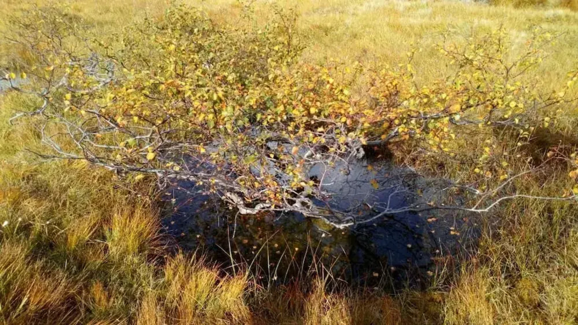 Sirdal Hoyfjellshotel