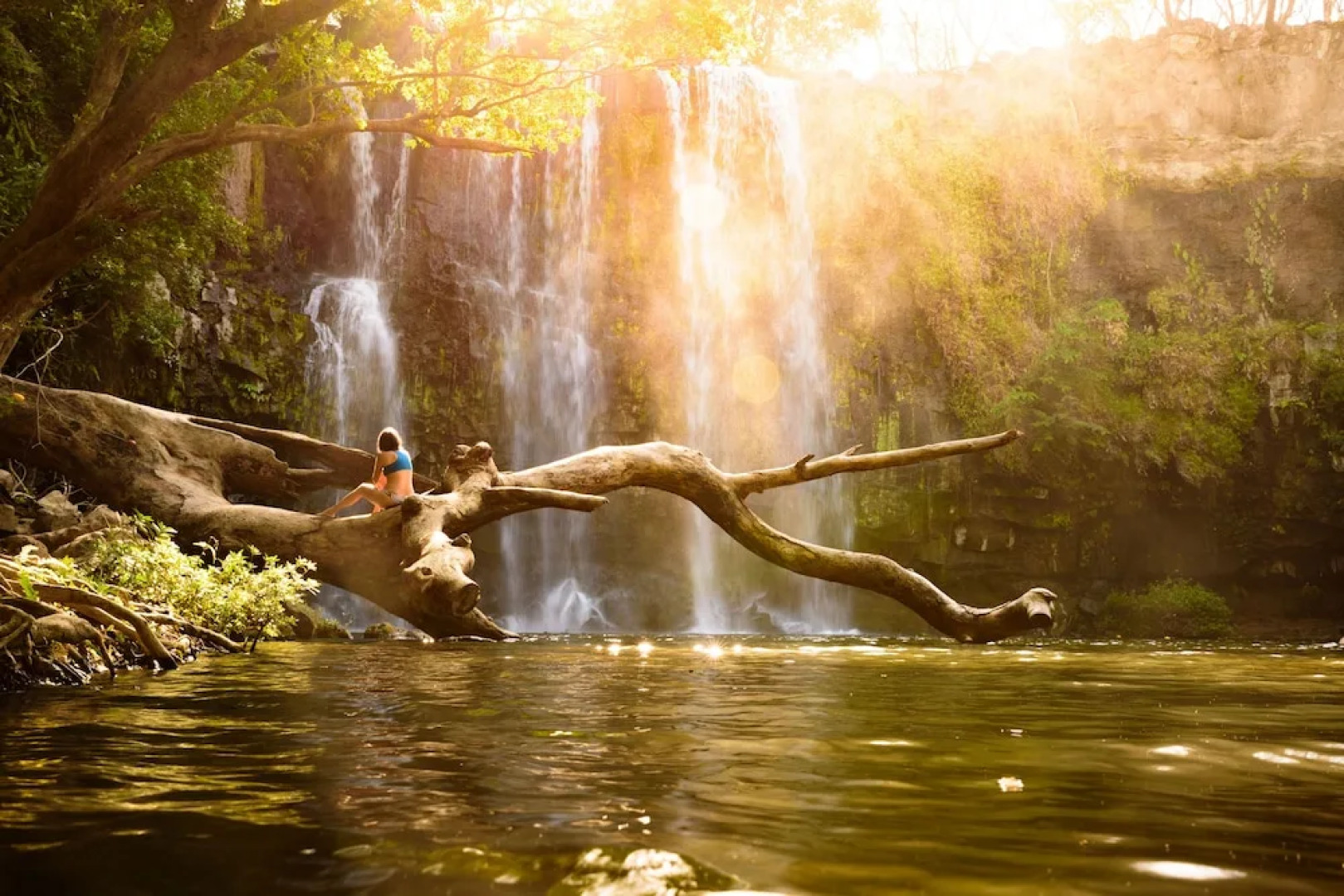 La Oveja Negra Tamarindo Hostel and Surf Camp - Adults Only