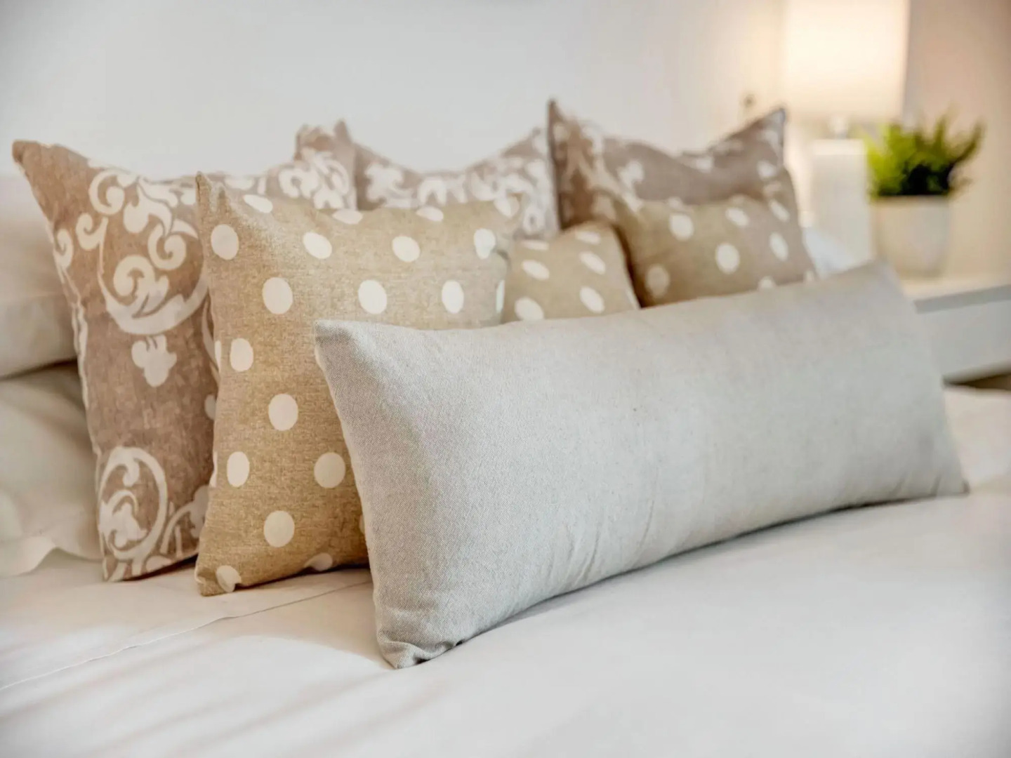 Civico36 Feels Like Home