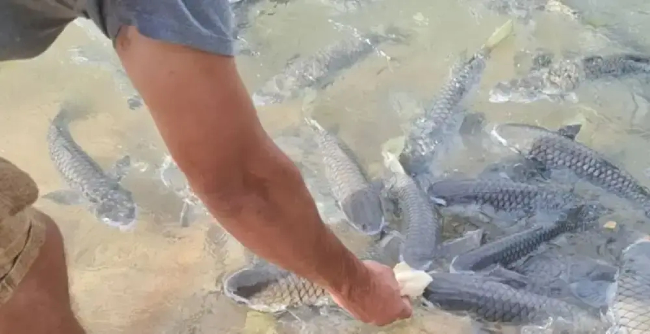 Urbanretreat Modern Outdoor Dining Backyard