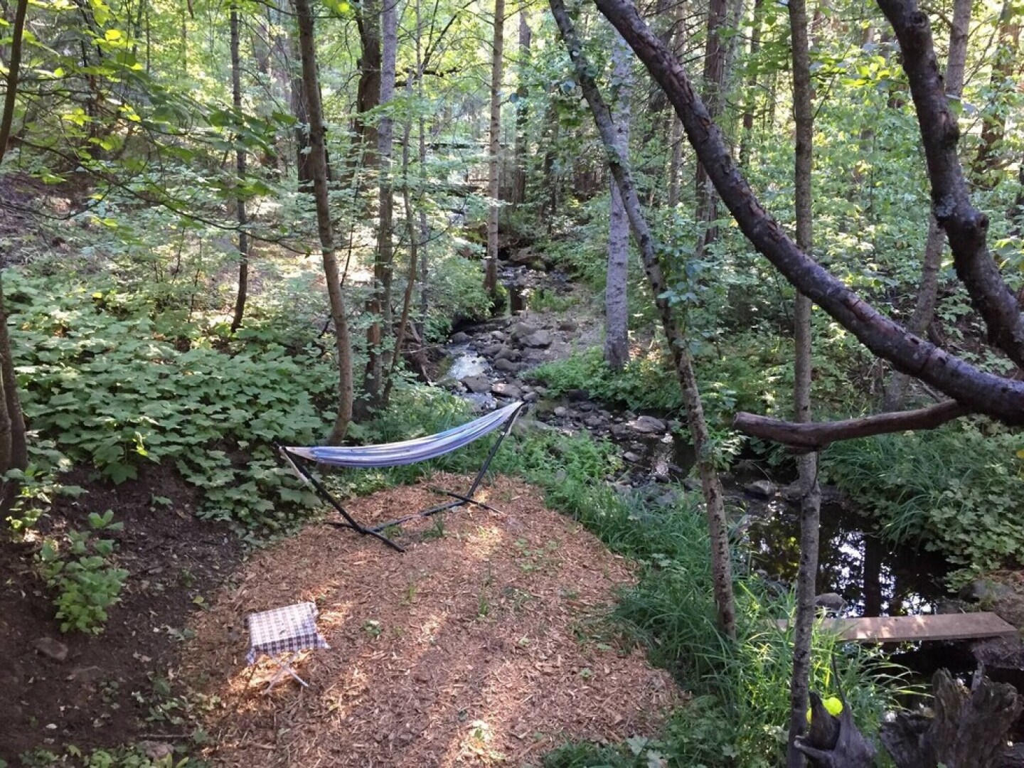 Glorious Summer At Cabin On The Creek