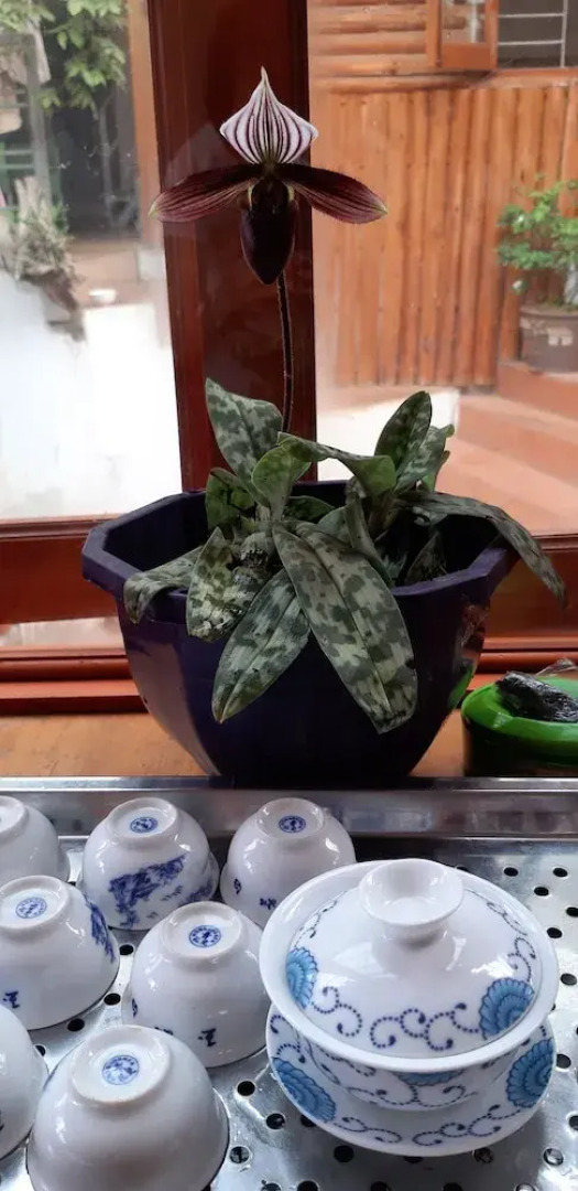 Dang Khoa Sapa Hotel