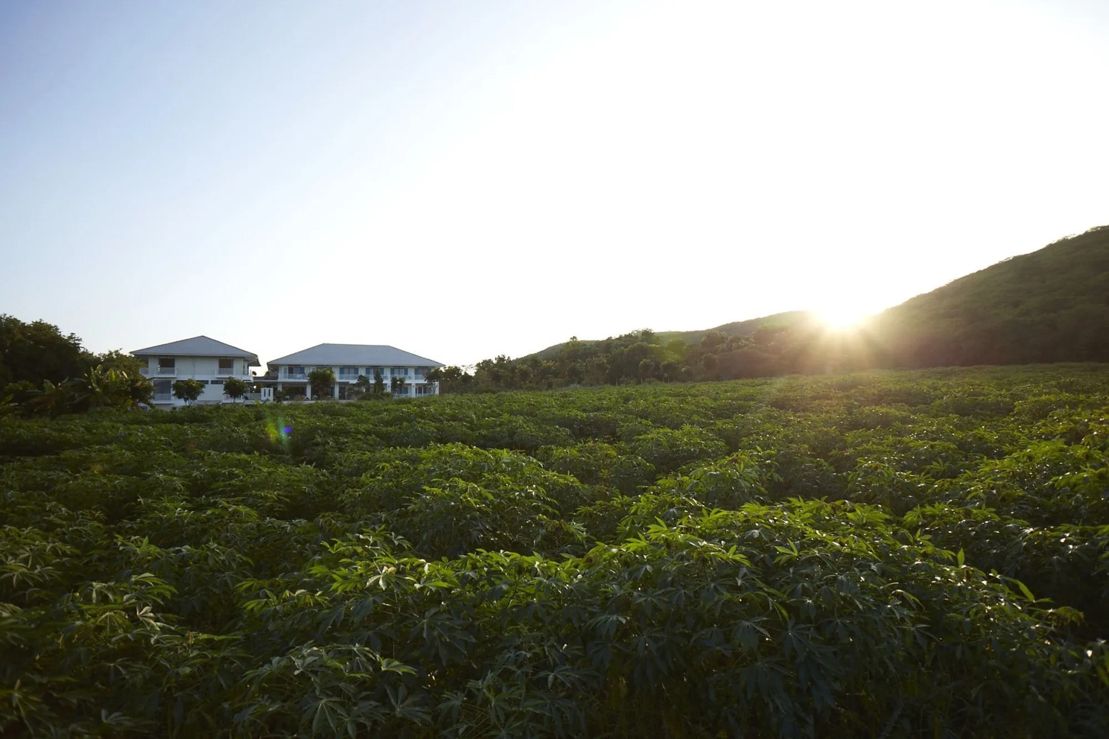 Santosha- Health&Lifestyle Resort