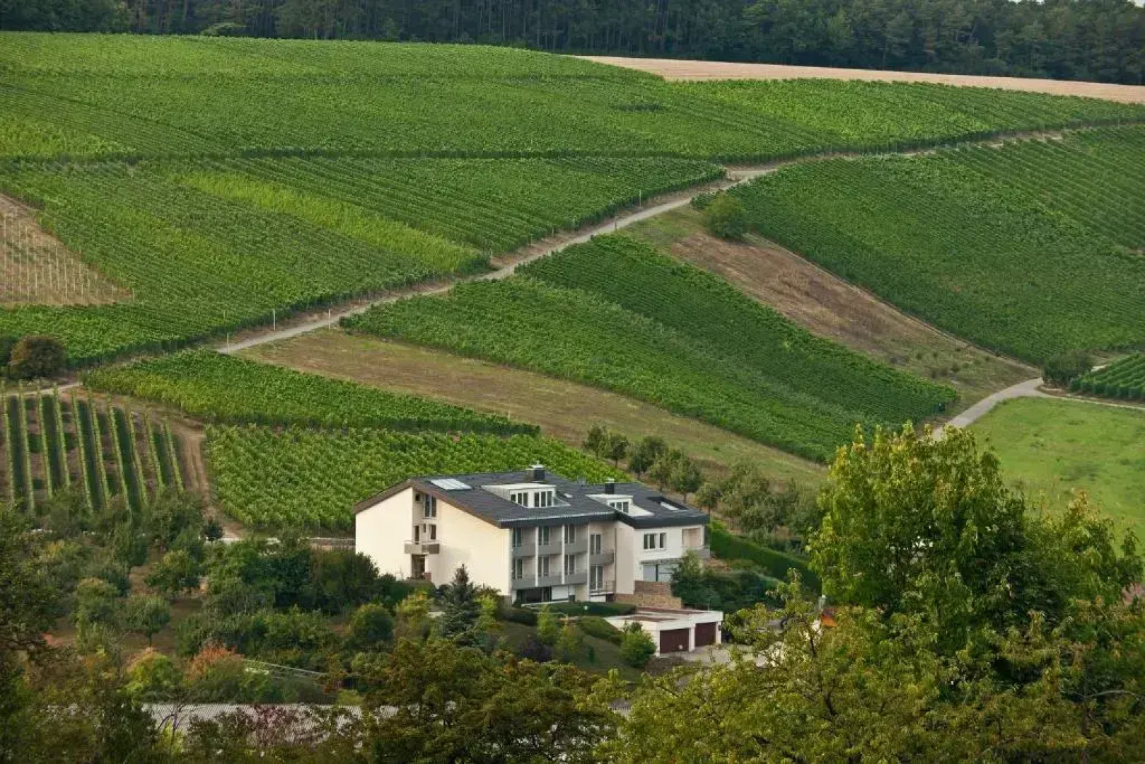 BENZ Weingut & Weinhotel