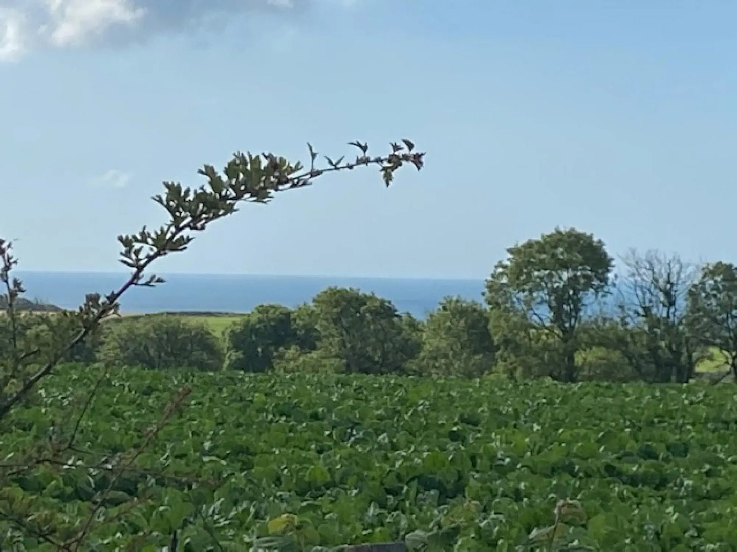 Elidyr Cottage - 3 Bed Cottage - Amroth