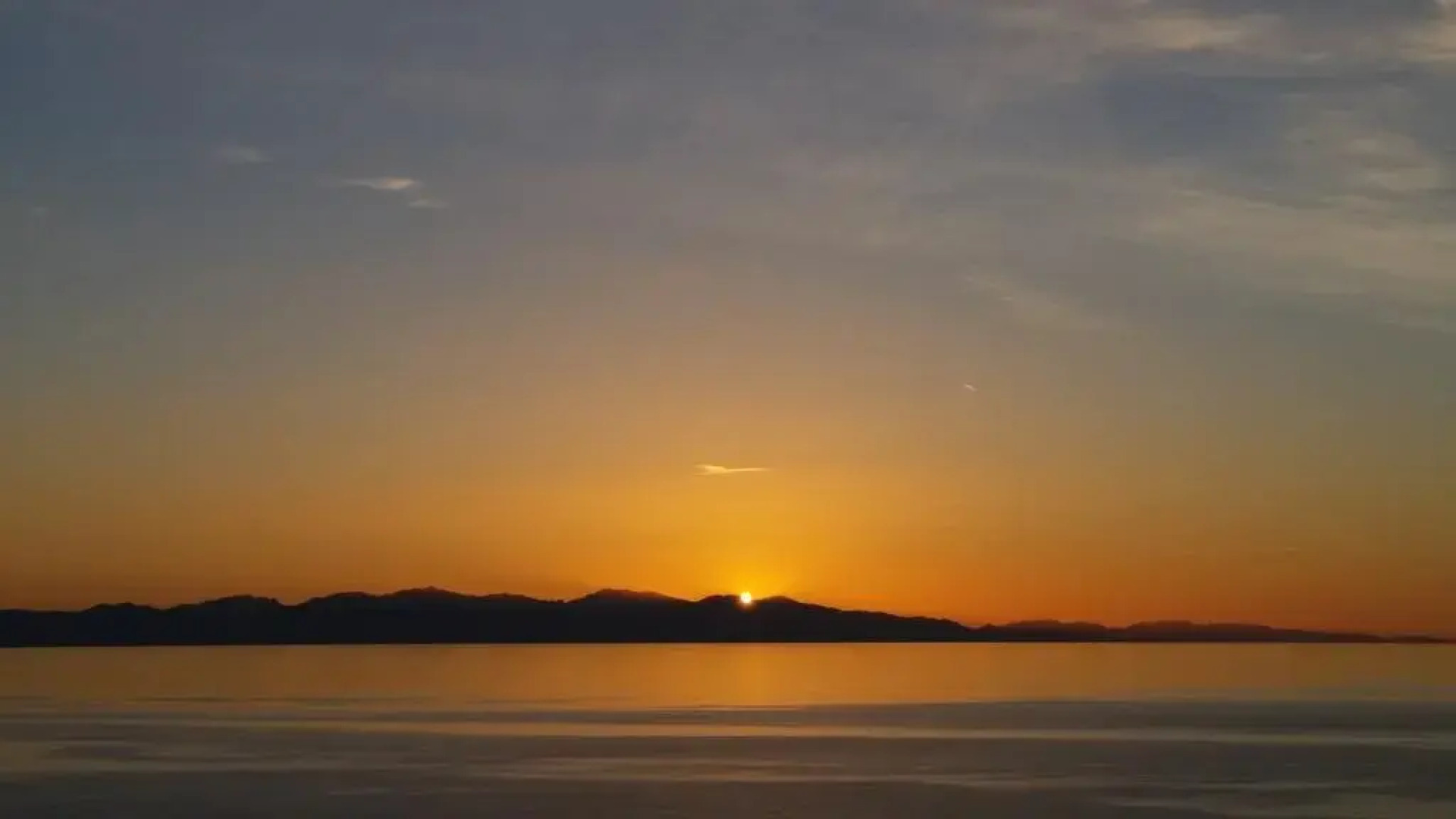 Appartamenti dell'Aia